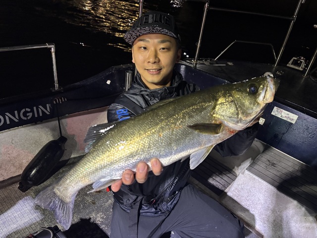 シーバス(スズキ)