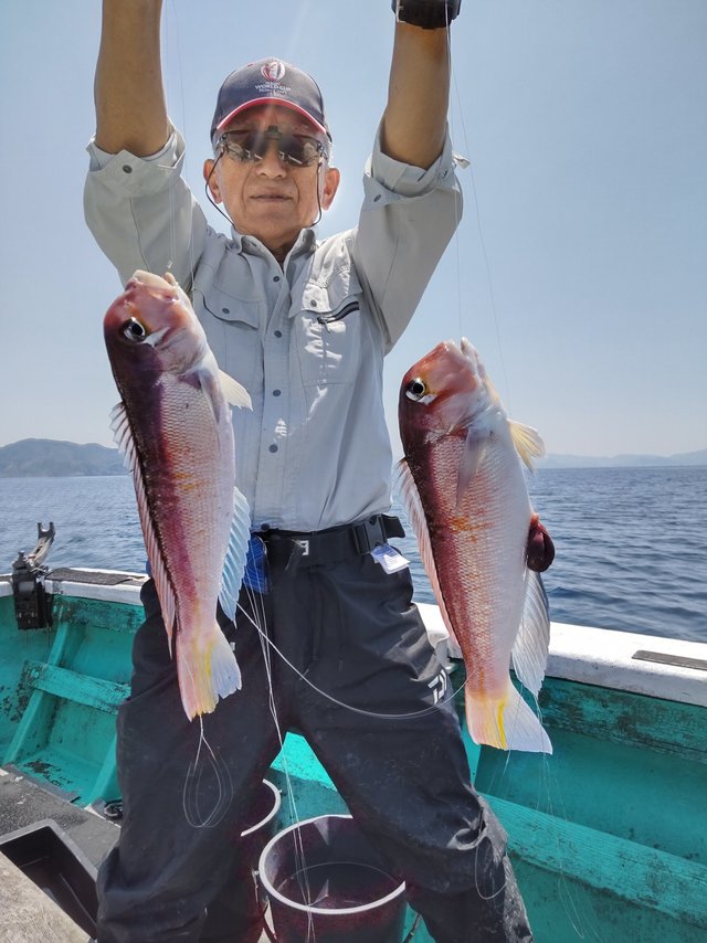 ヒラマサ・アマダイ(アカアマダイ)