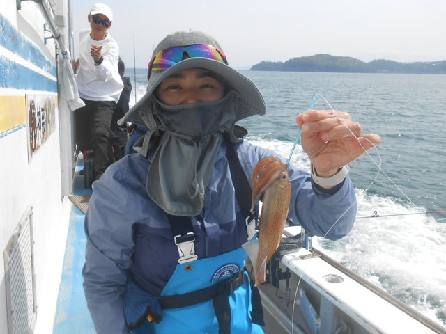 ムギイカ(スルメイカ)