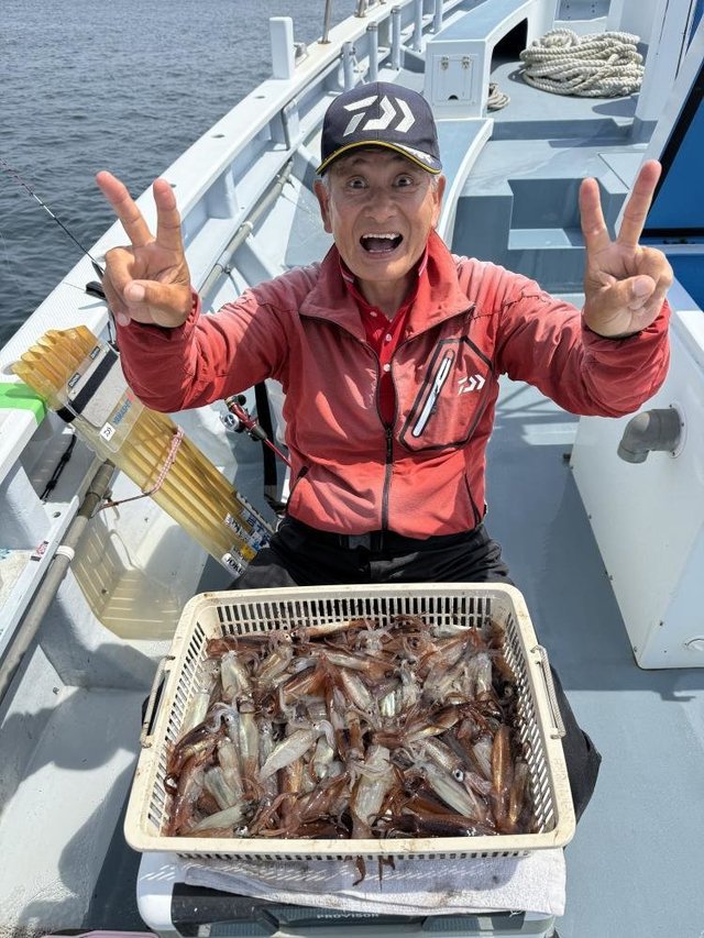 ムギイカ(スルメイカ)