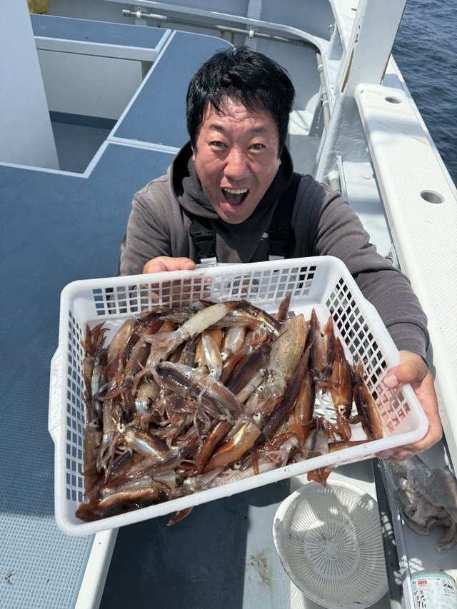 ムギイカ(スルメイカ)