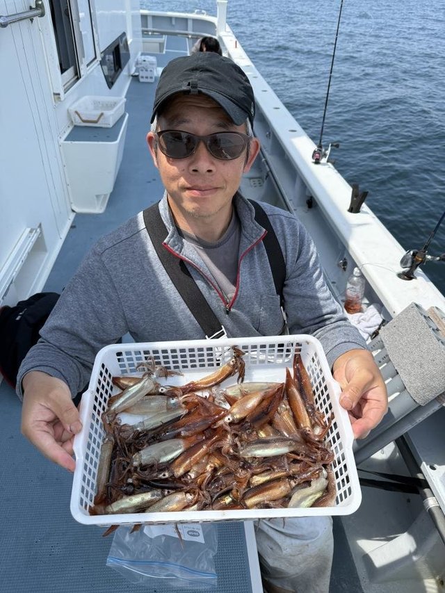 ムギイカ(スルメイカ)