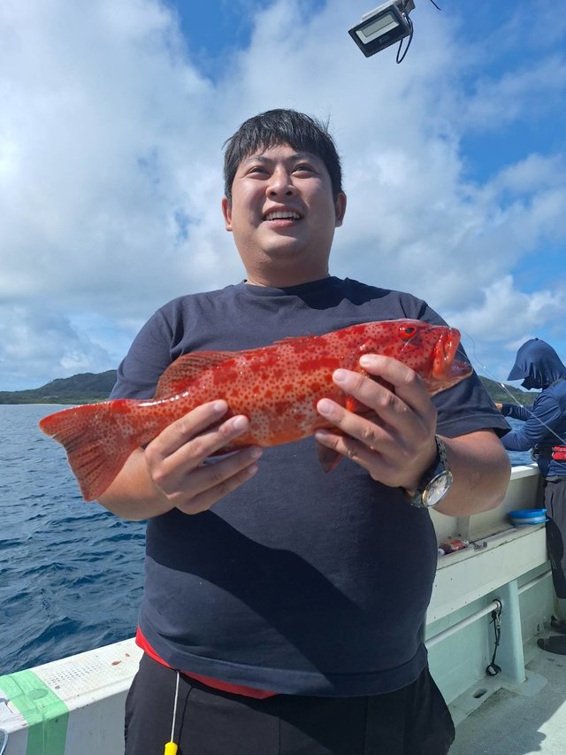 アカジン(スジアラ)