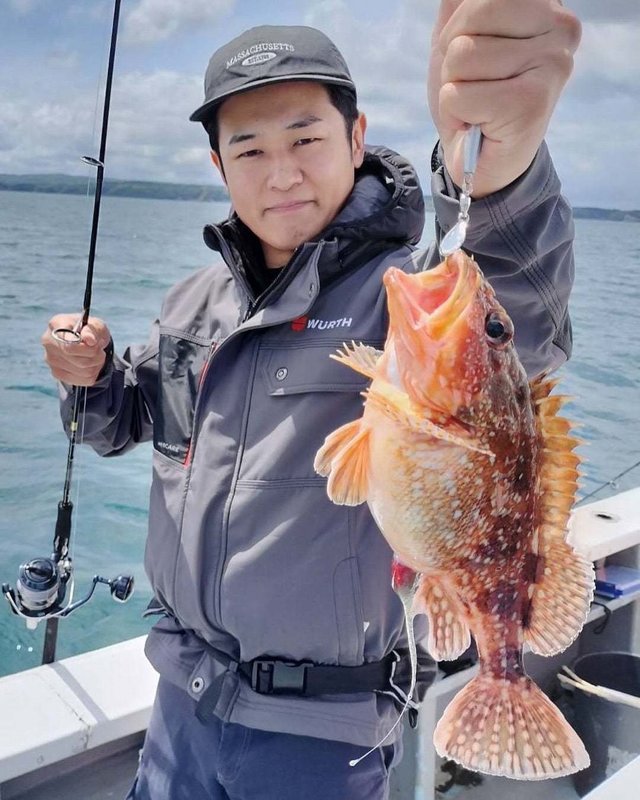 ウッカリカサゴ