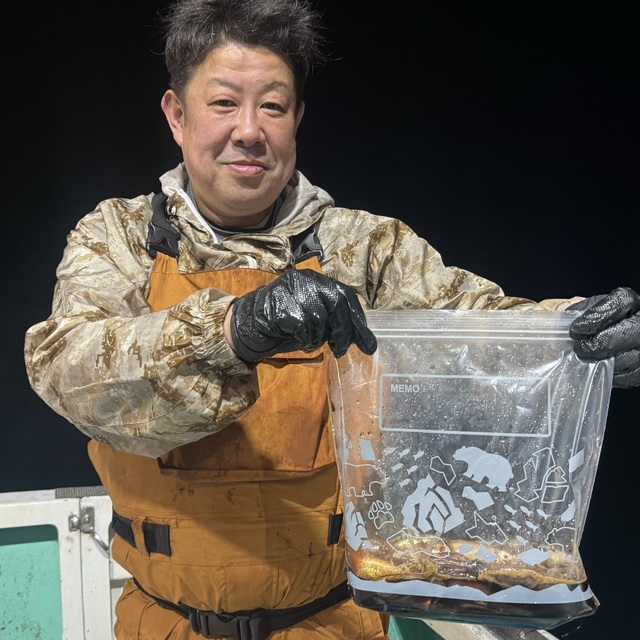 ムギイカ(スルメイカ)