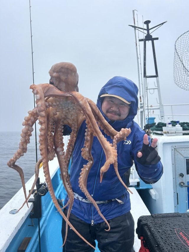 ヤナギダコ(ミズダコ)