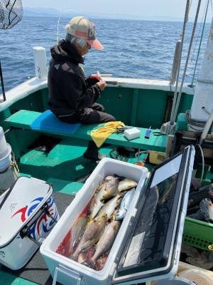 イサギ(イサキ)