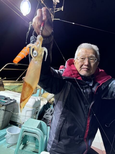 マイカ(ケンサキイカ)