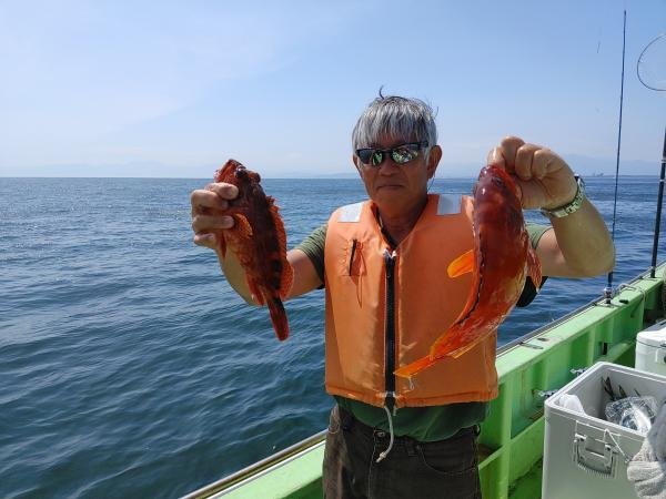 アカハタ・カサゴ