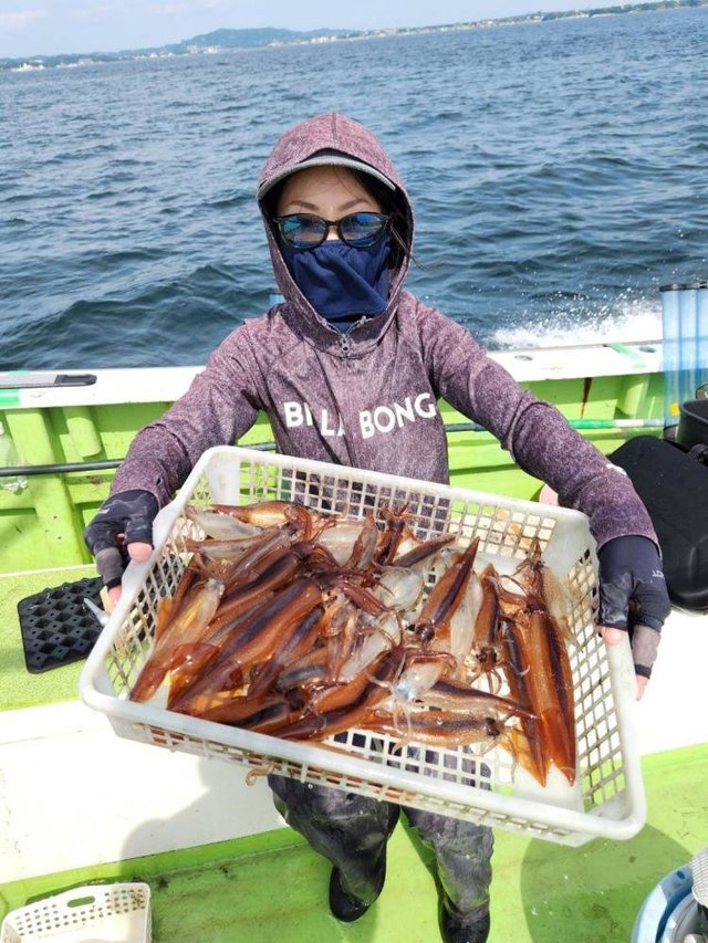 ムギイカ(スルメイカ)