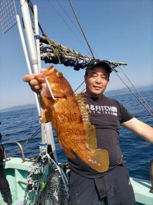 アコウ(キジハタ)