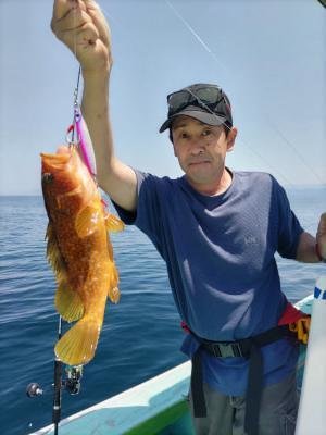 アコウ(キジハタ)