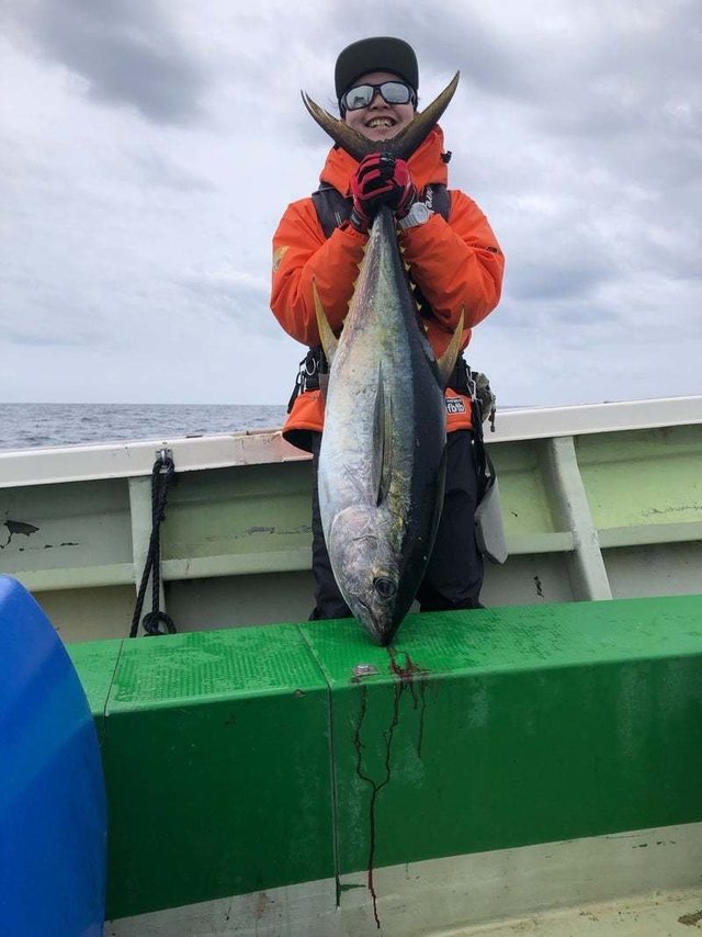 キメジ(キハダ)