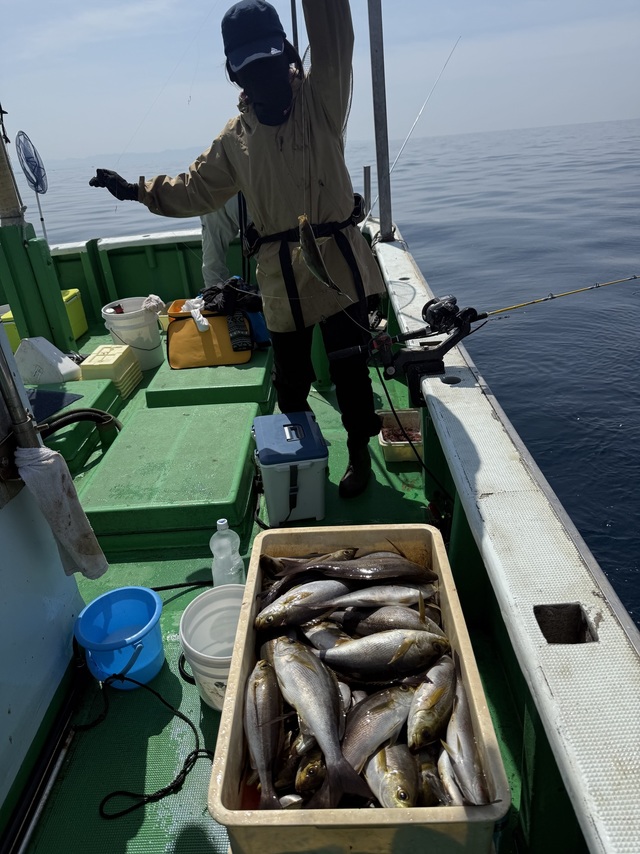 イサギ(イサキ)