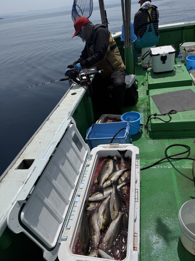 イサギ(イサキ)