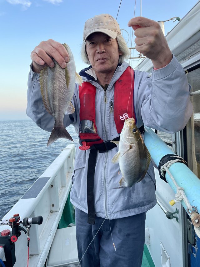 イサギ(イサキ)