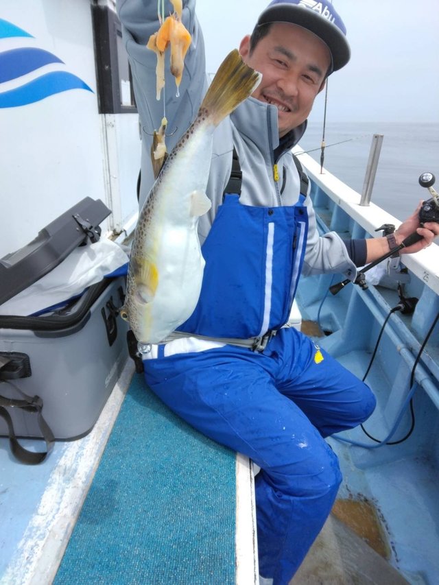 ショウサイフグ