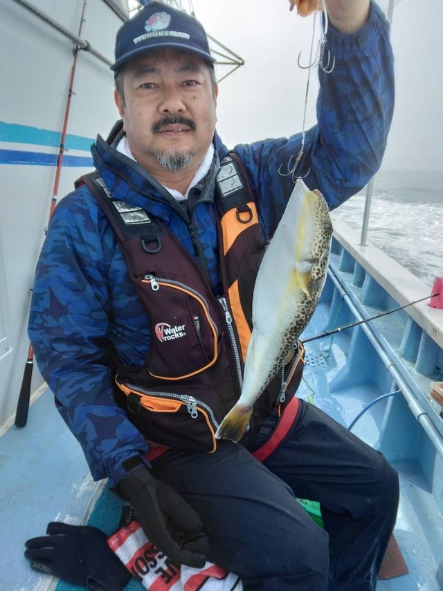 ショウサイフグ