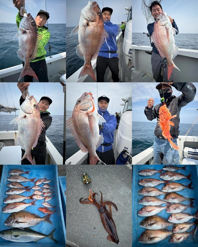 マダイ・メジロ(ブリ)