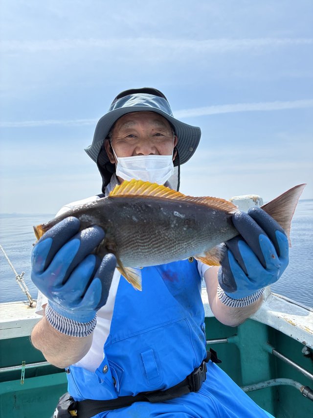 イサギ(イサキ)