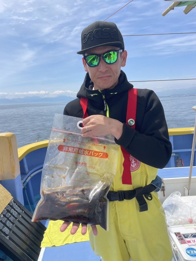 ムギイカ(スルメイカ)