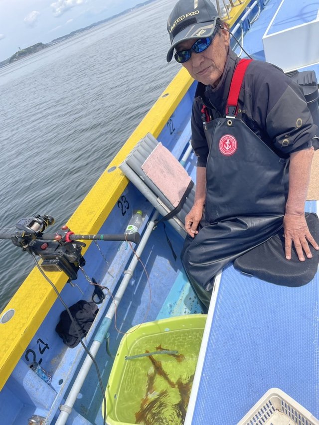 ムギイカ(スルメイカ)