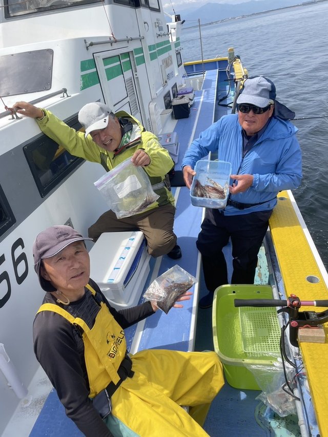 ムギイカ(スルメイカ)