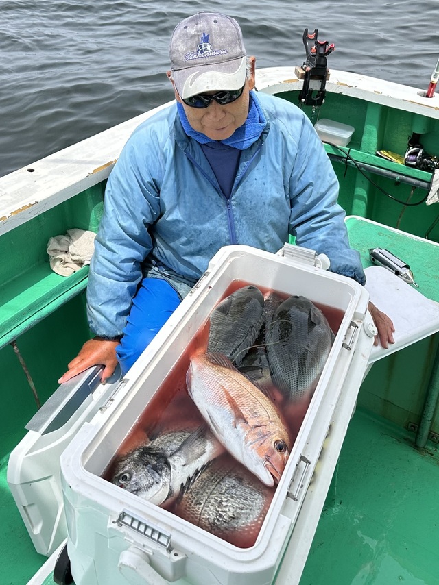 マダイ・クロダイ・メジナ