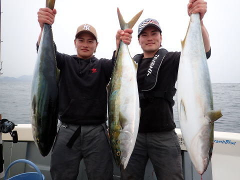 ブリ・ヒラマサ