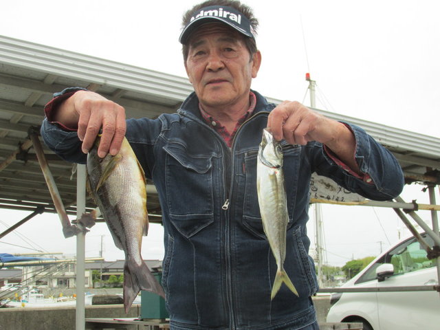 アジ(マアジ)・イサキ