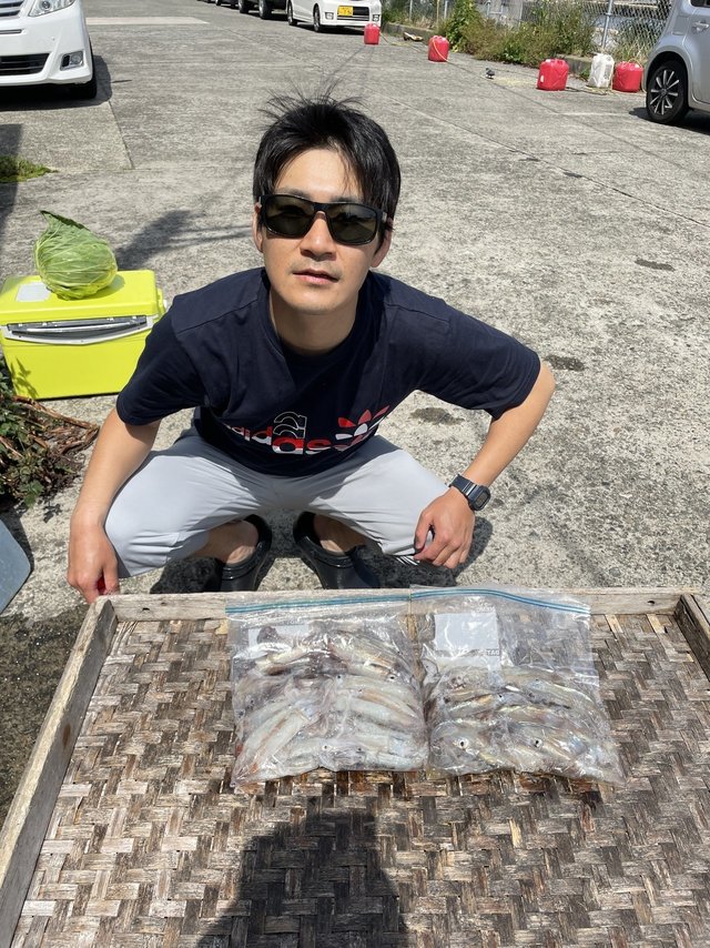 ムギイカ(スルメイカ)