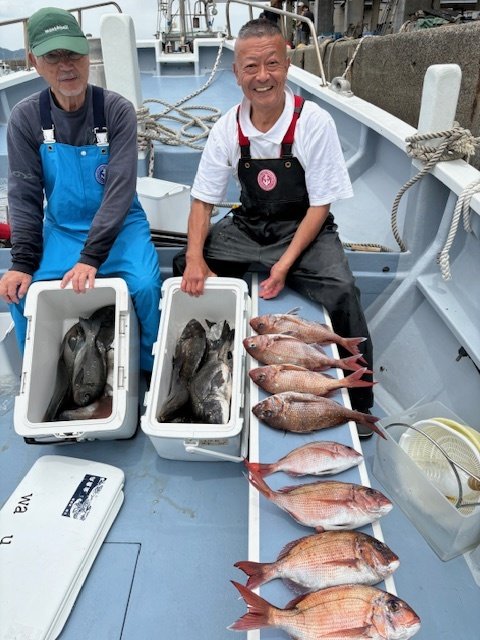 マダイ・クロダイ・メジナ