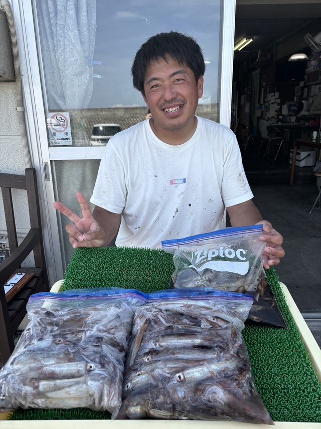 ムギイカ(スルメイカ)