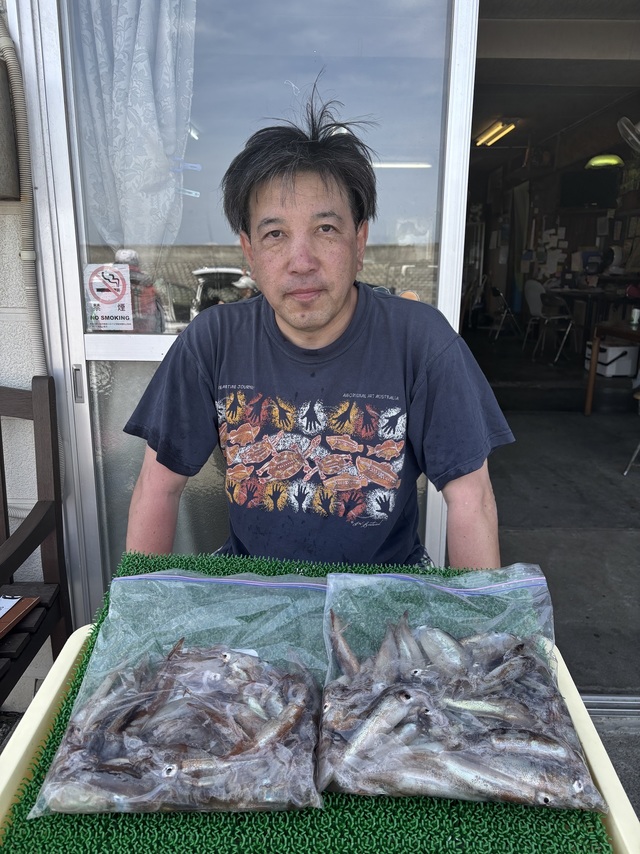 ムギイカ(スルメイカ)