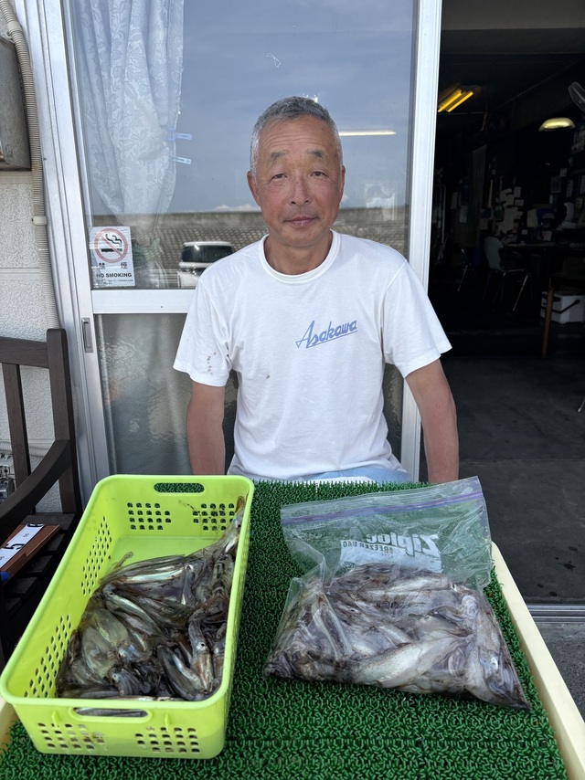 ムギイカ(スルメイカ)