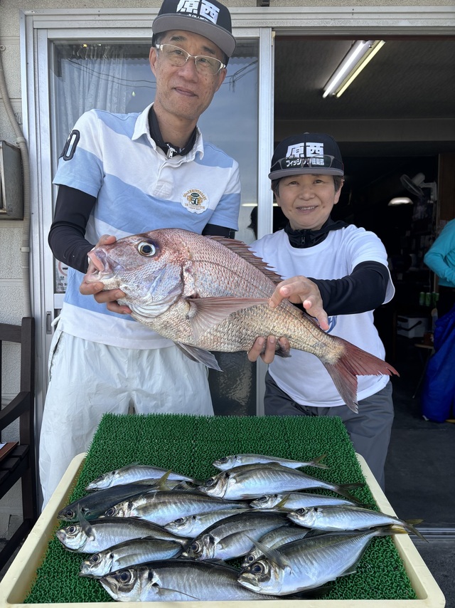 マダイ・アジ(マアジ)