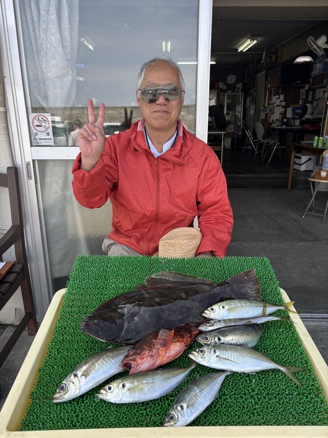 アジ(マアジ)・ヒラメ