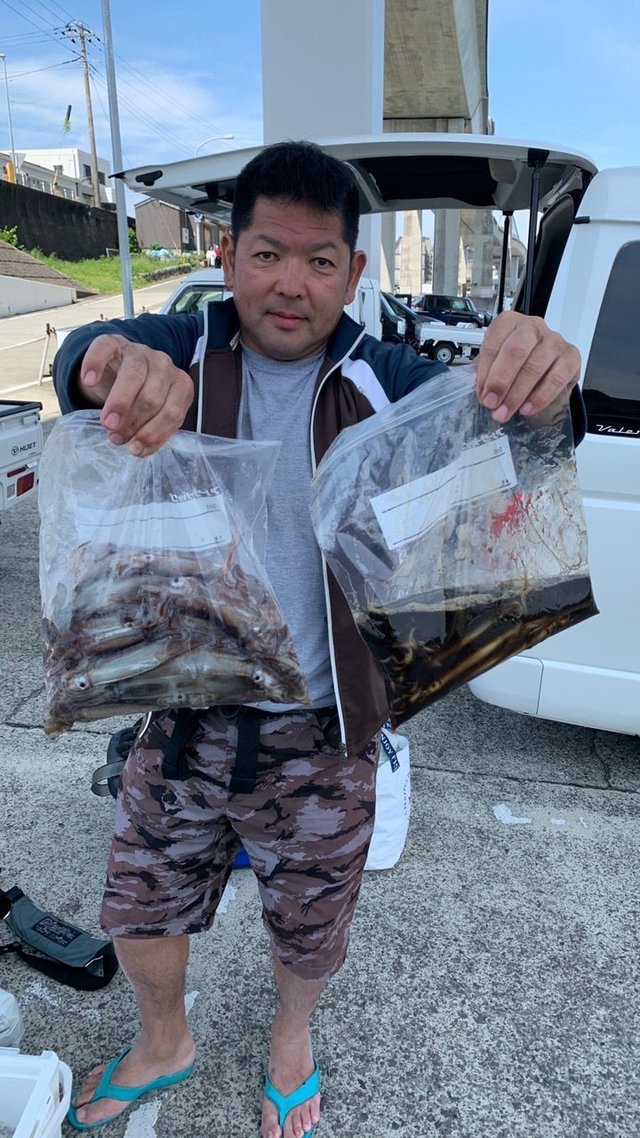 ムギイカ(スルメイカ)