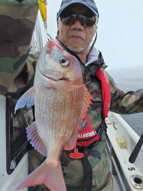 ハナダイ(チダイ)