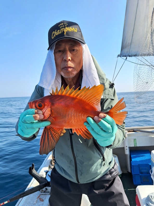 チカメキントキ