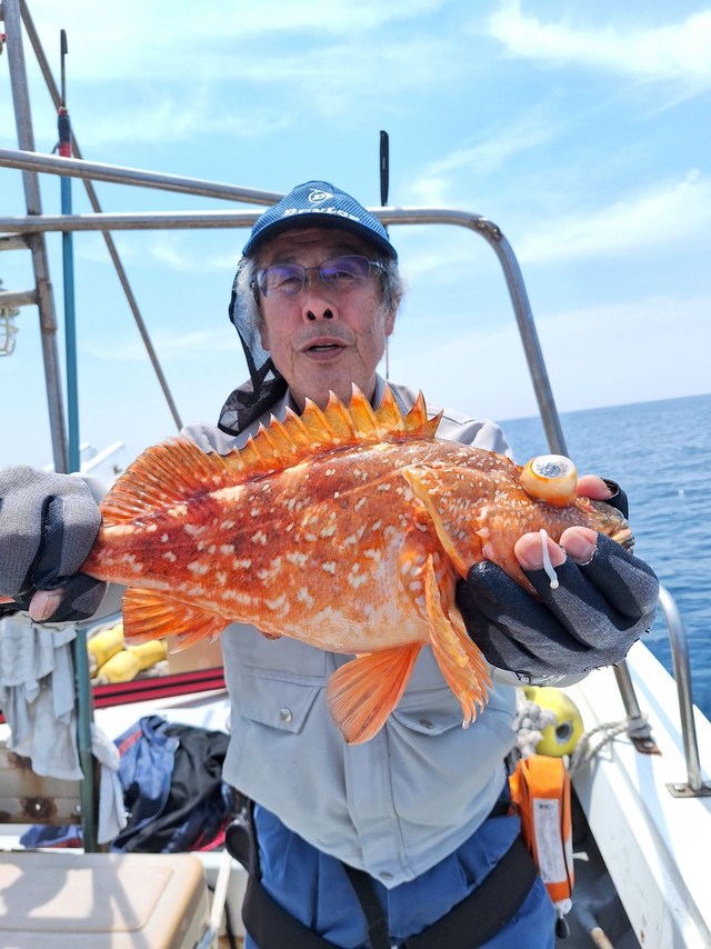 アラカブ(カサゴ)