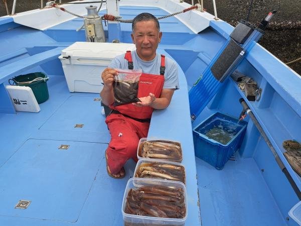 ムギイカ(スルメイカ)