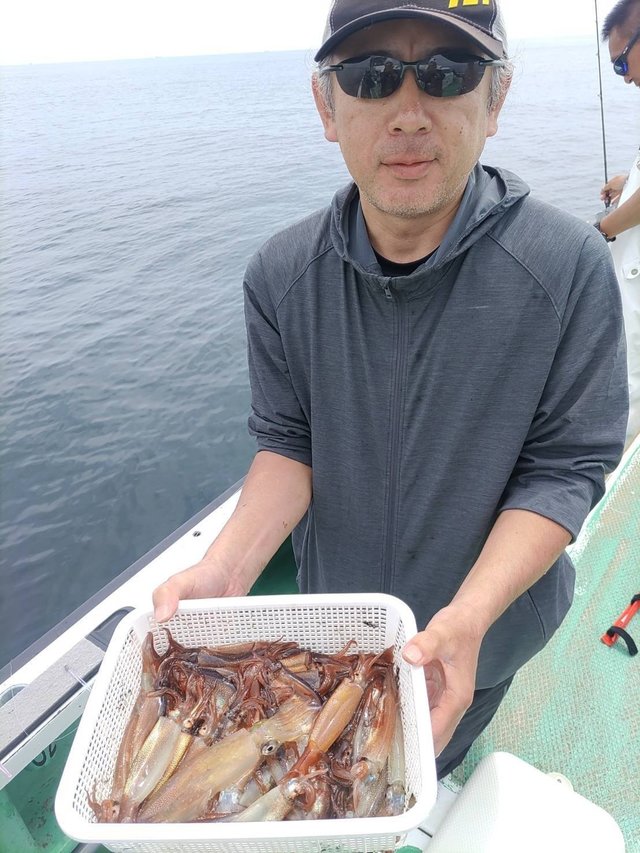 マルイカ(ケンサキイカ)