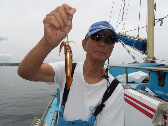 ムギイカ(スルメイカ)