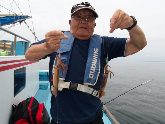 ムギイカ(スルメイカ)