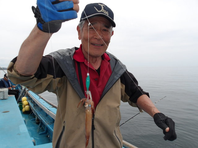 ムギイカ(スルメイカ)