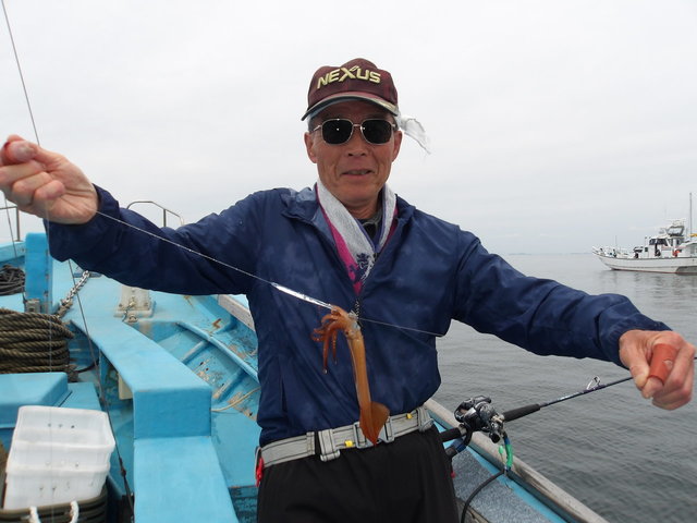 ムギイカ(スルメイカ)