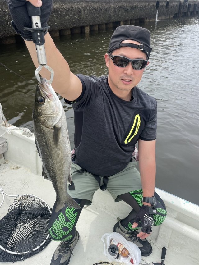 シーバス(スズキ)