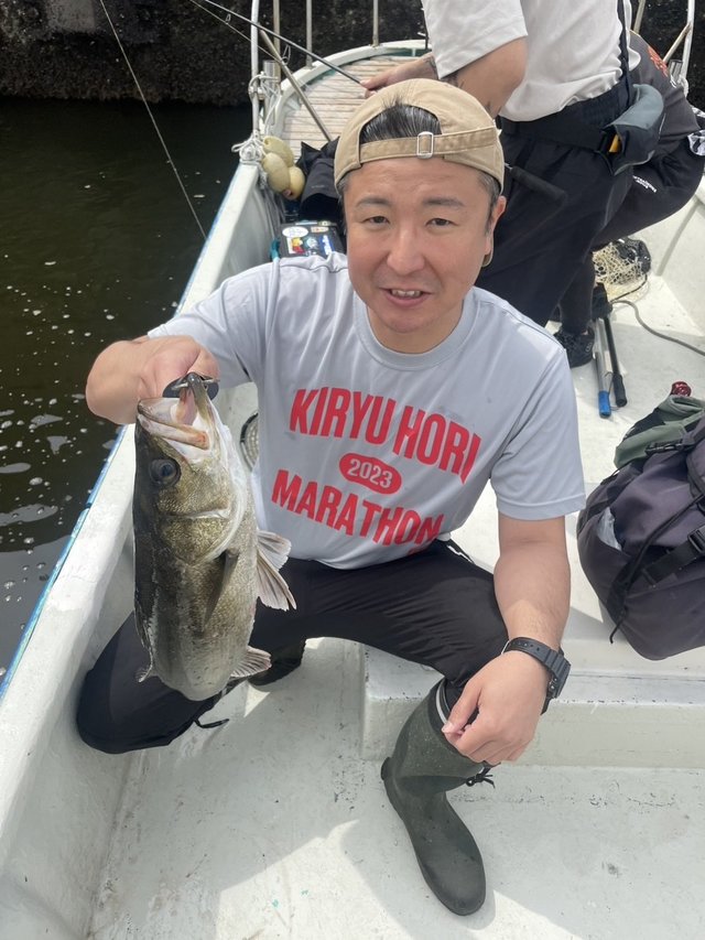 シーバス(スズキ)