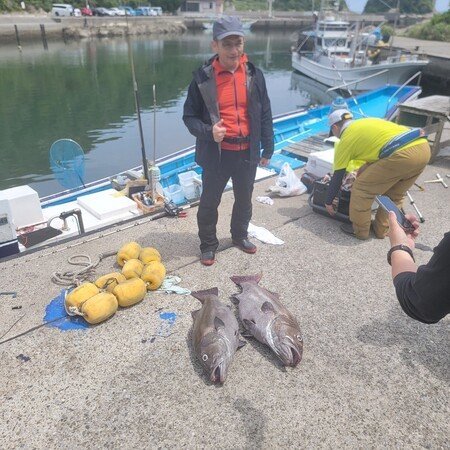 イシナギ(オオクチイシナギ)